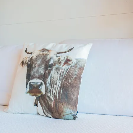 Bouleaux K4 By Interhome * Nendaz