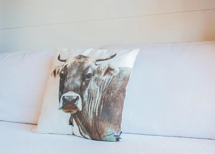Bouleaux K4 By Interhome * Nendaz